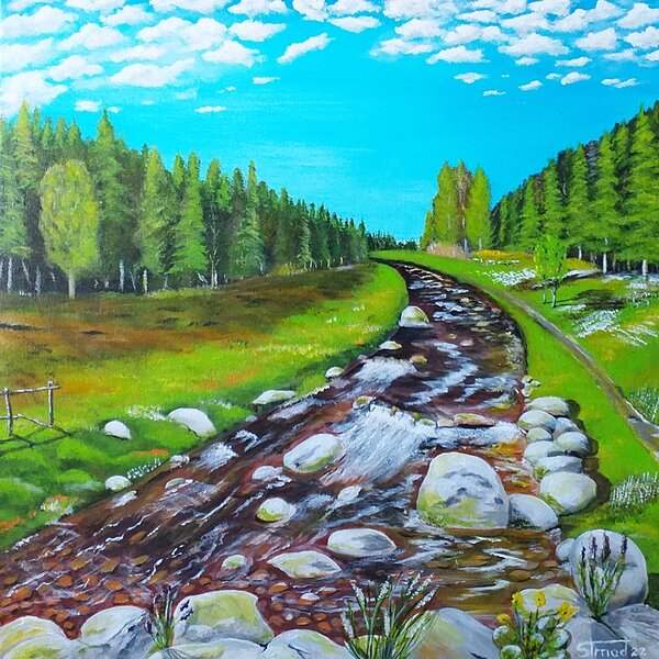 Ručně malovaný obraz od Jan Strnad - "Šumava-Vydra", rozměr: 50 x 50 cm
