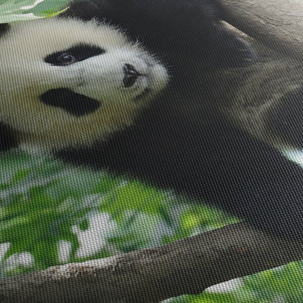 Obraz - Panda na stromě (s hodinami) (90x30 cm)