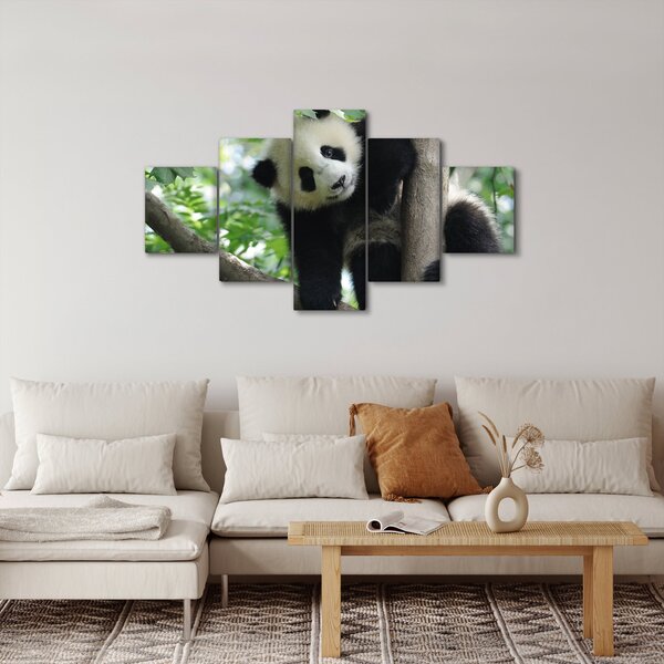 Obraz - Panda na stromě (125x70 cm)