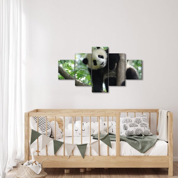 Obraz - Panda na stromě (125x70 cm)