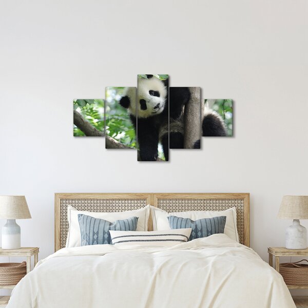 Obraz - Panda na stromě (125x70 cm)