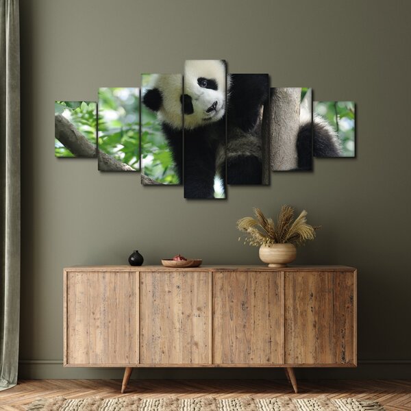 Obraz - Panda na stromě (210x100 cm)