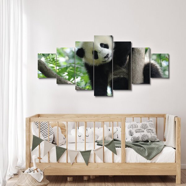 Obraz - Panda na stromě (210x100 cm)