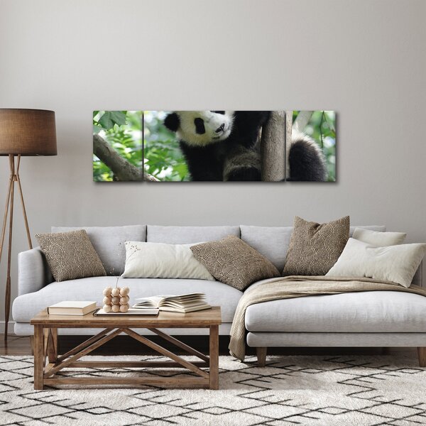 Obraz - Panda na stromě (170x50 cm)