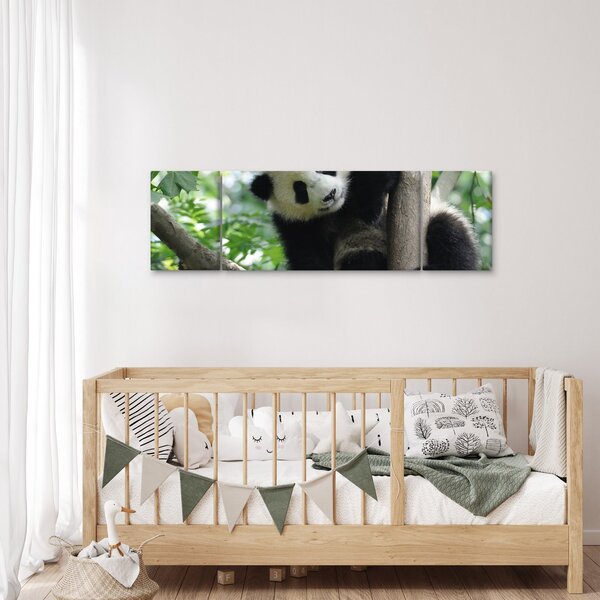 Obraz - Panda na stromě (170x50 cm)