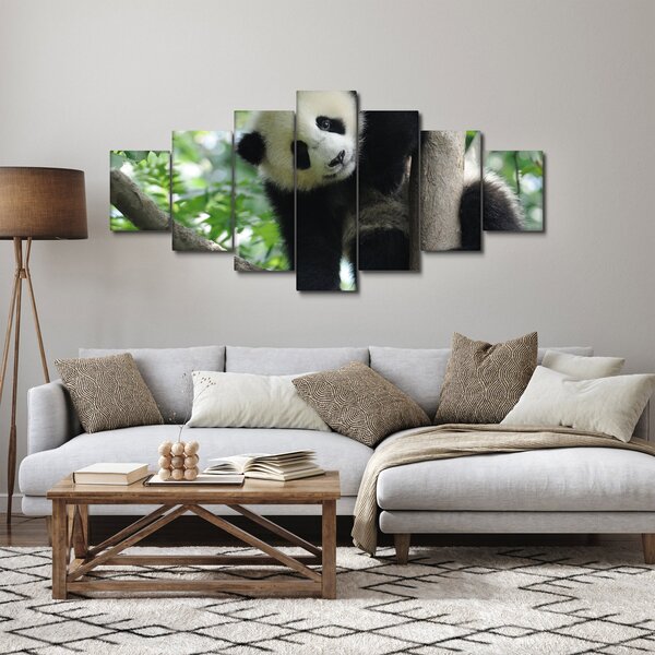Obraz - Panda na stromě (210x100 cm)