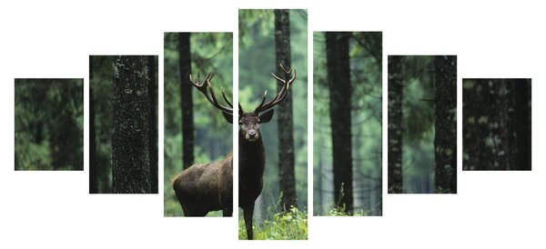 Obraz - Jelen v hlubokém lese (210x100 cm)