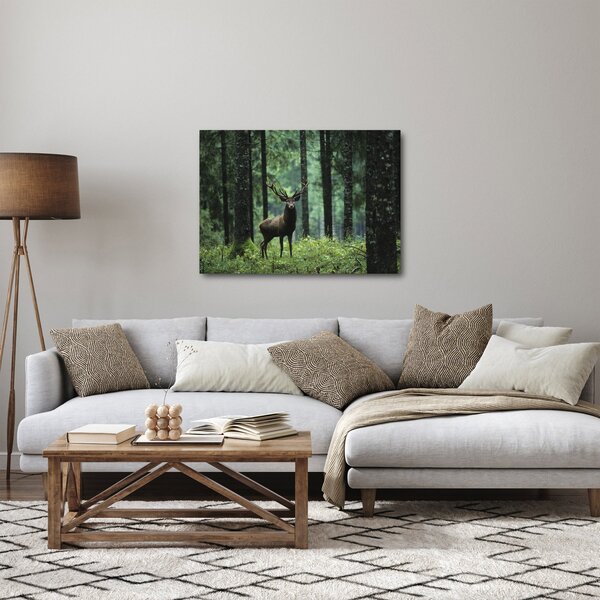 Obraz - Jelen v hlubokém lese (70x50 cm)