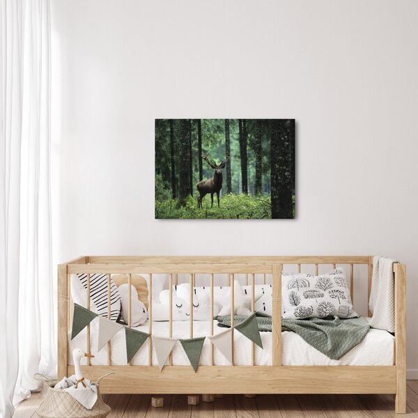 Obraz - Jelen v hlubokém lese (70x50 cm)