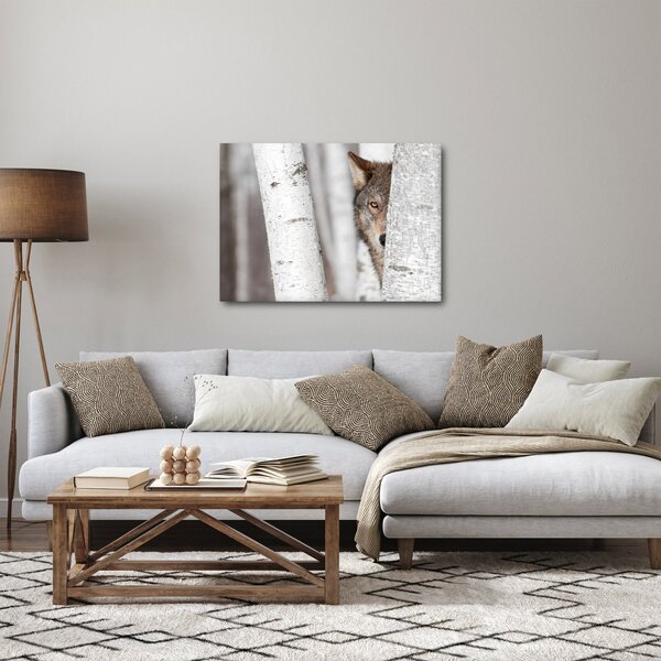 Obraz - Vlk (70x50 cm)