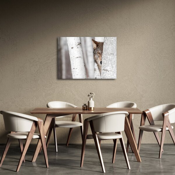 Obraz - Vlk (70x50 cm)