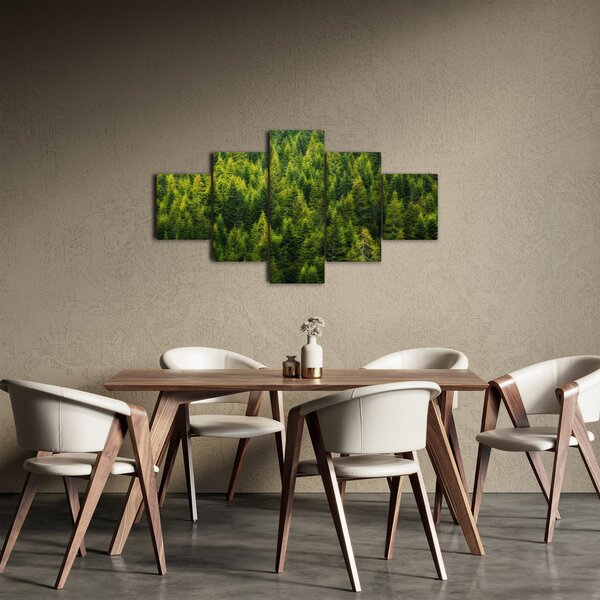 Obraz - Hustý les (125x70 cm)