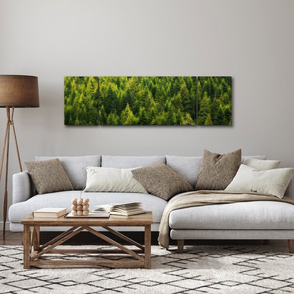 Obraz - Hustý les (170x50 cm)