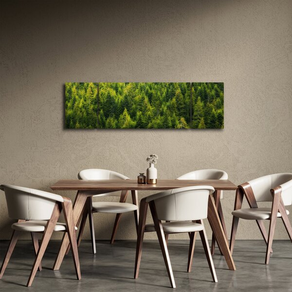 Obraz - Hustý les (170x50 cm)
