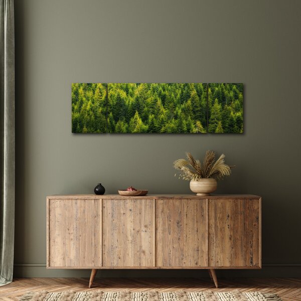 Obraz - Hustý les (170x50 cm)