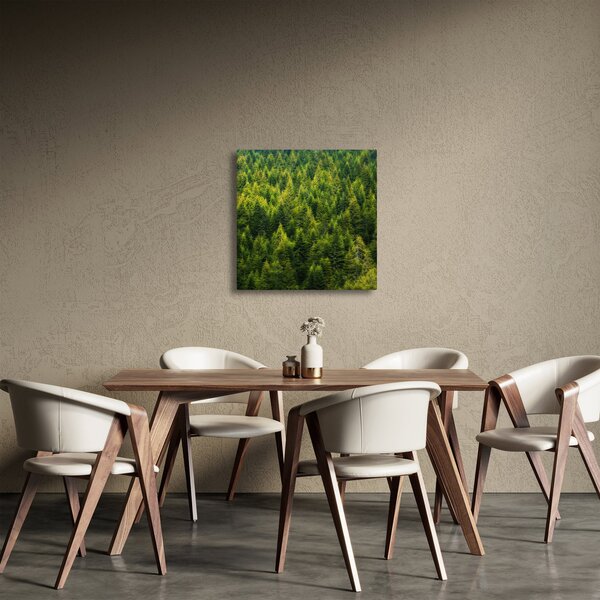 Obraz - Hustý les (30x30 cm)