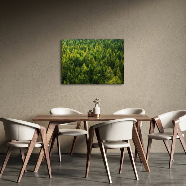 Obraz - Hustý les (70x50 cm)