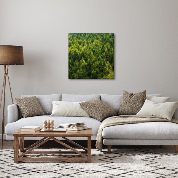 Obraz - Hustý les (30x30 cm)