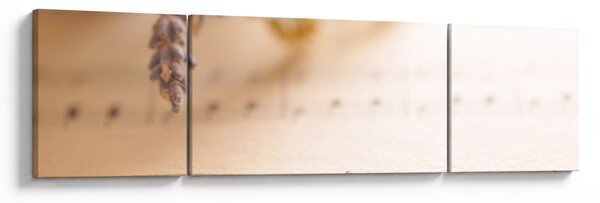 Obraz - Píseň (170x50 cm)