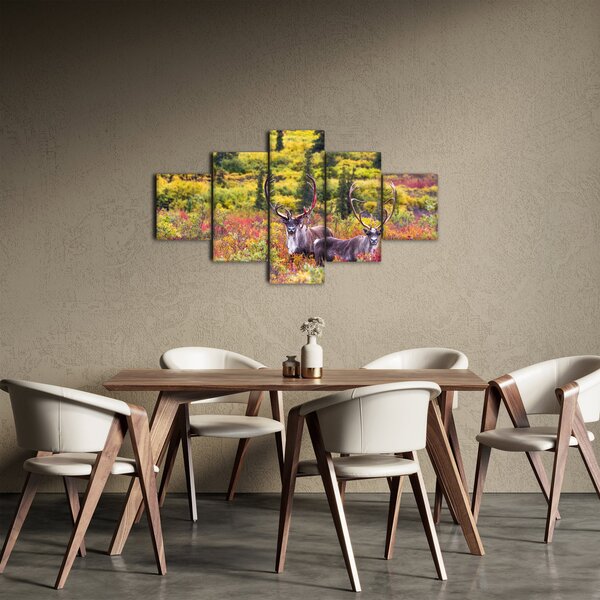 Obraz - Karibu na Aljašce (125x70 cm)