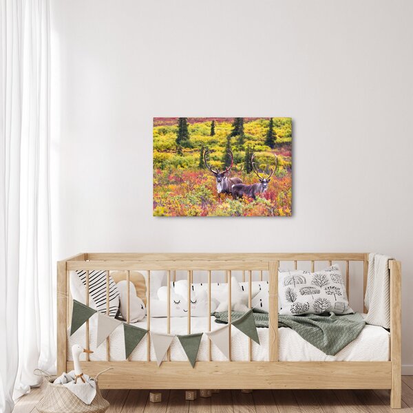 Obraz - Karibu na Aljašce (70x50 cm)
