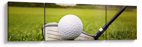Obraz - Golf (170x50 cm)