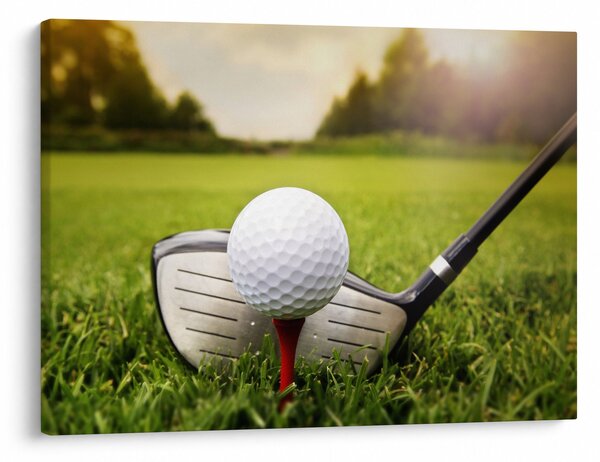 Obraz - Golf (70x50 cm)