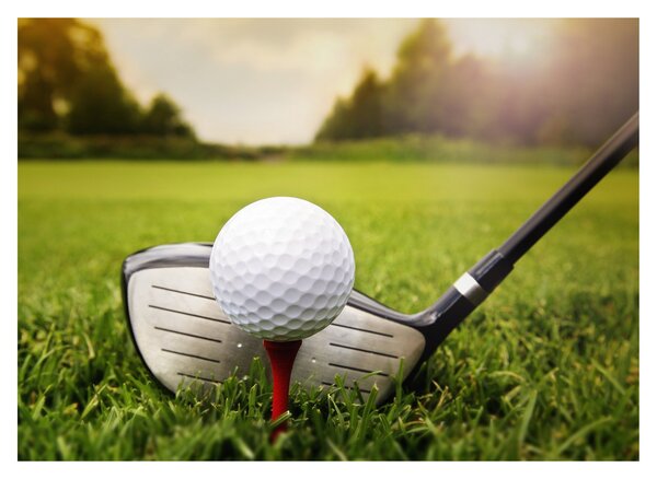 Obraz - Golf (70x50 cm)