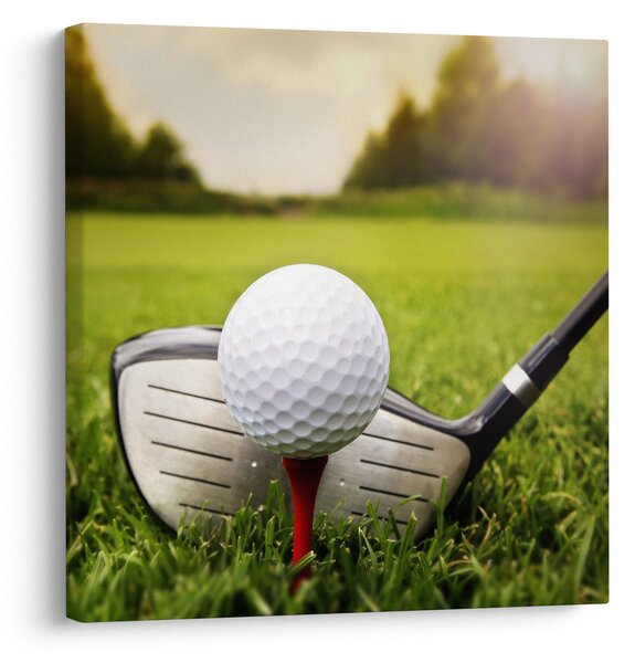 Obraz - Golf (30x30 cm)