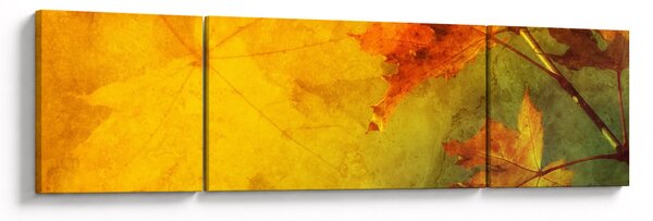 Obraz - Podzimní listy (170x50 cm)