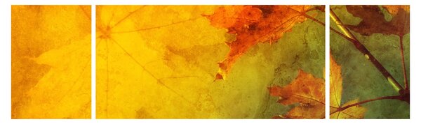 Obraz - Podzimní listy (170x50 cm)