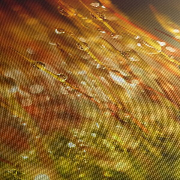 Obraz - Detail rosy (125x70 cm)