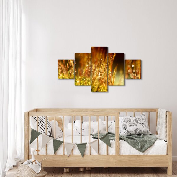 Obraz - Detail rosy (125x70 cm)