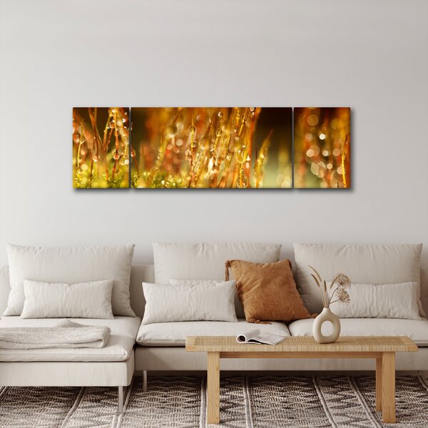 Obraz - Detail rosy (170x50 cm)