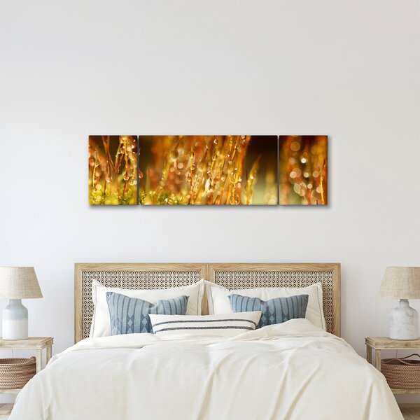Obraz - Detail rosy (170x50 cm)
