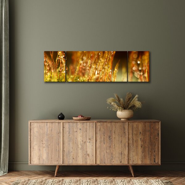 Obraz - Detail rosy (170x50 cm)
