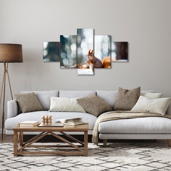 Obraz - Veverka (125x70 cm)