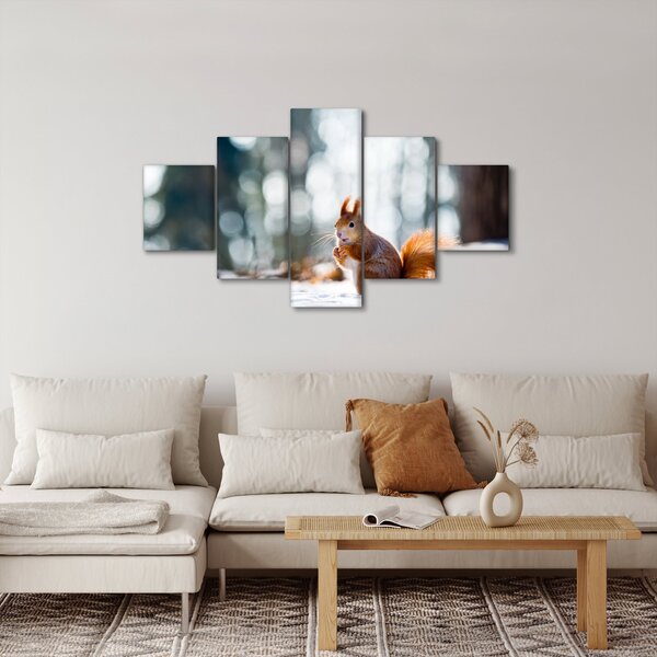Obraz - Veverka (125x70 cm)