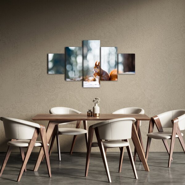 Obraz - Veverka (125x70 cm)