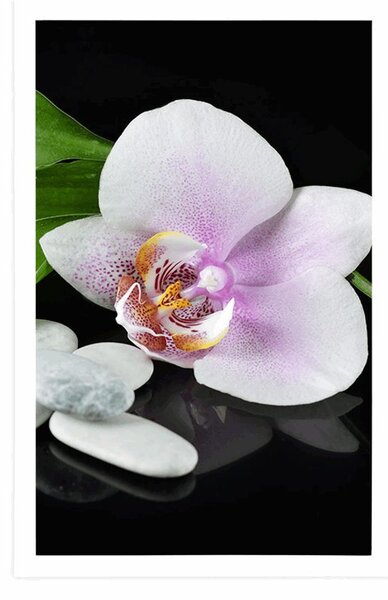 Plakát zen kameny a orchidej