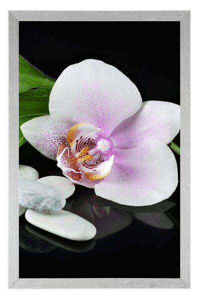 Plakát zen kameny a orchidej