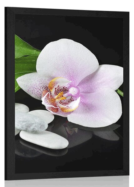 Plakát zen kameny a orchidej