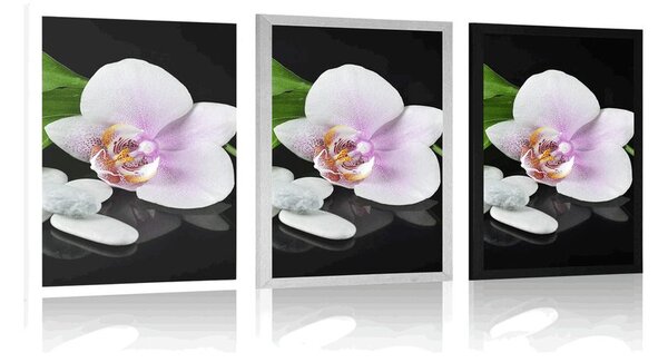 Plakát zen kameny a orchidej
