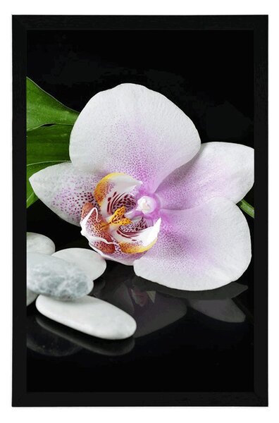 Plakát zen kameny a orchidej