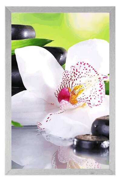 Plakát japonská orchidej