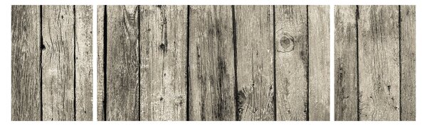 Obraz - Dřevo (170x50 cm)