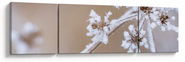 Obraz - Mráz (170x50 cm)