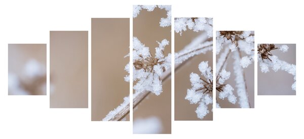 Obraz - Mráz (210x100 cm)