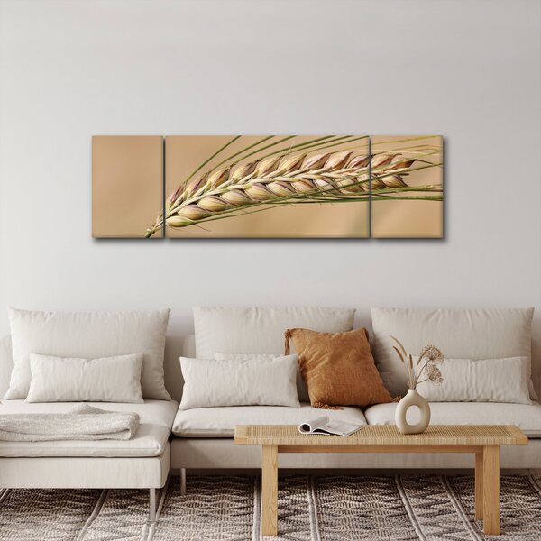 Obraz - Pšenice (170x50 cm)