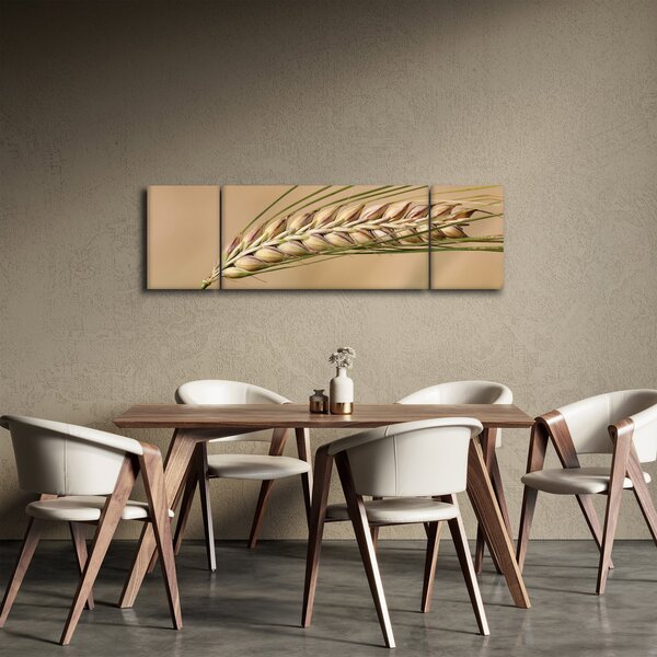 Obraz - Pšenice (170x50 cm)